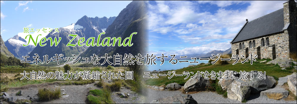 エネルギッシュな大自然を旅するニュージーランド