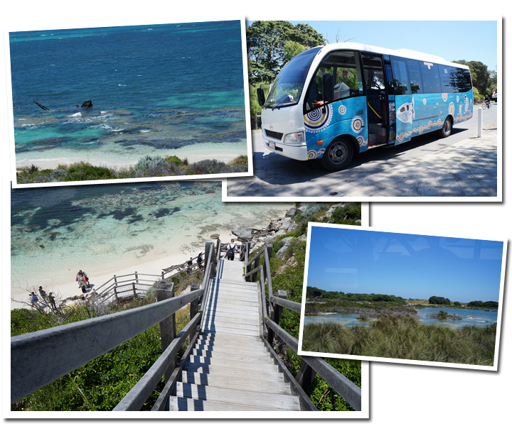 西オーストラリア・｢自然と海に満ちた島｣ロットネスト島に泊まる旅